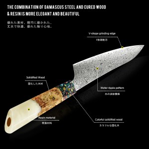 DCVG-028 Chef Knife in 67 Layers Damascus Steel 0